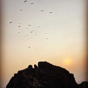 1708082398552_resultado_resultado