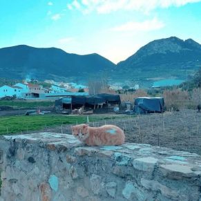 1708082398650_resultado_resultado