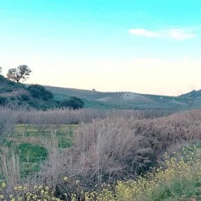 1708082398671_resultado_resultado