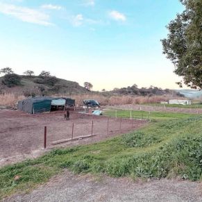 1708082398690_resultado_resultado