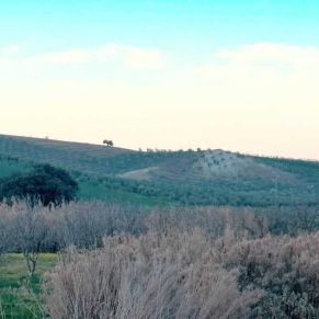 1708082398703_resultado_resultado