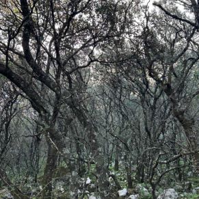 1708332084181_resultado_resultado